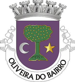 Oliveira do Bairro